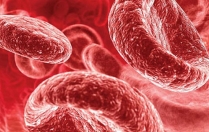 Як підвищити гемоглобін при вагітності. Норма у вагітних