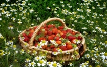 Найкорисніші літні продукти під час вагітності