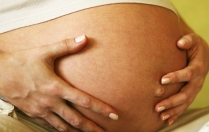 Пологи в дорозі