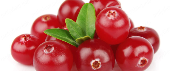 Чим корисна журавлина при вагітності