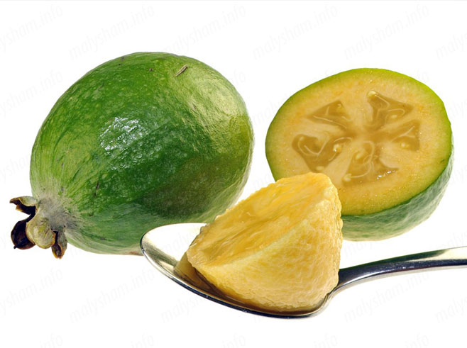 Можна фейхоа вагітним? Думки лікаря Можна фейхоа вагітним? Думки лікаря