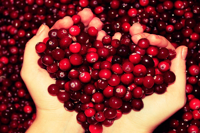 Чим корисна журавлина при вагітності Чим корисна журавлина при вагітності