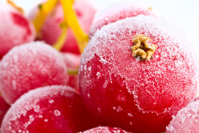 Чим корисна журавлина при вагітності Чим корисна журавлина при вагітності