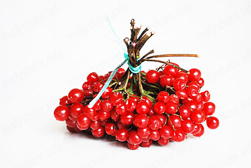 Можна калину при вагітності?