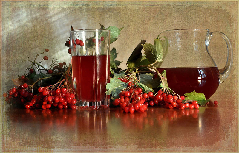 Можна калину при вагітності?