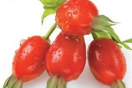 Користь шипшини при вагітності