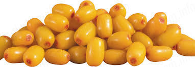 Цілюща обліпиха при вагітності