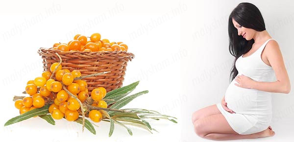 Цілюща обліпиха при вагітності