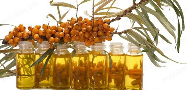 Цілюща обліпиха при вагітності