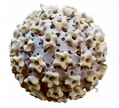 Як лікувати папіломи при вагітності?