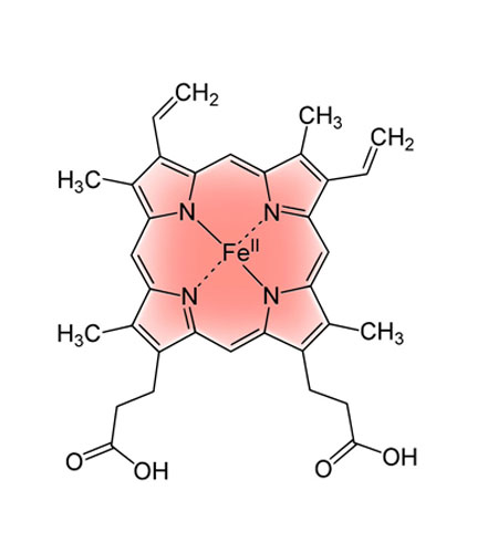 Як підвищити гемоглобін при вагітності