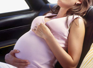 Пологи в дорозі Пологи в дорозі