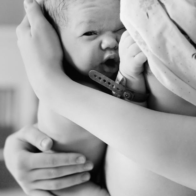 Пологи в дорозі Пологи в дорозі