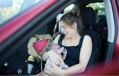 Пологи в дорозі Пологи в дорозі