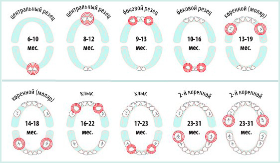 У дитини ріжуться зубки: симптоми, терміни, ніж допомогти