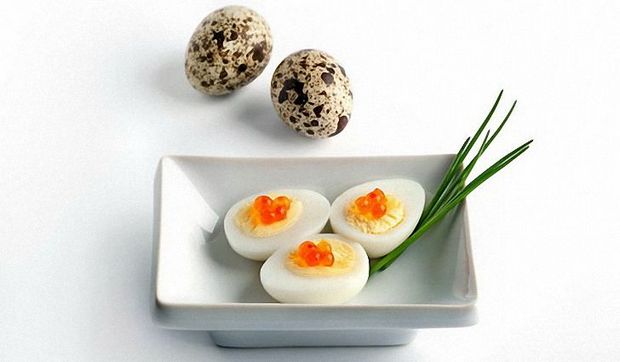 Рецепти з використанням перепелиних яєць