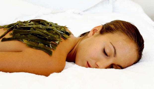 застосування морської капусти в салоні краси застосування морської капусти в салоні краси