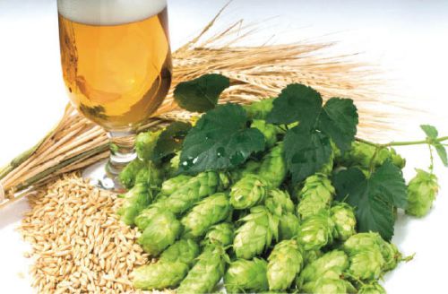 Можна безалкогольне пиво при грудному вигодовуванні