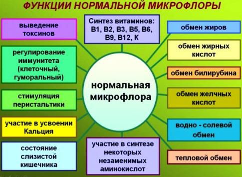 Біфіформ для новонароджених дітей