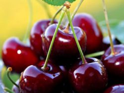 Можна їсти черешню при грудному вигодовуванні