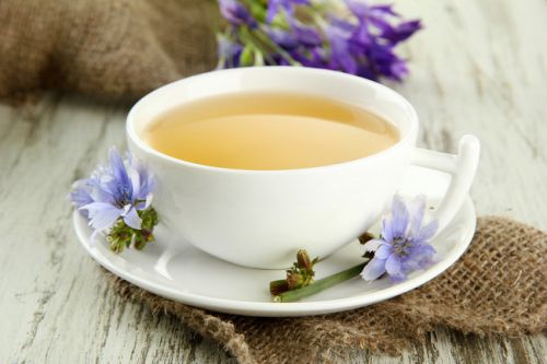 Цикорій при грудному вигодовуванні Цикорій при грудному вигодовуванні