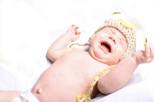 Цикорій при грудному вигодовуванні Цикорій при грудному вигодовуванні