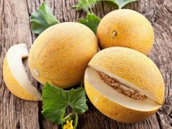 Диня при грудному вигодовуванні