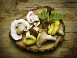 Можна годуючій мамі гриби