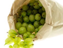 Аґрус при грудному вигодовуванні