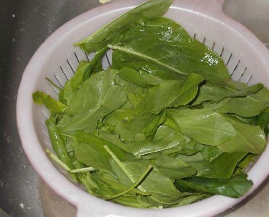 Щавель при грудному вигодовуванні