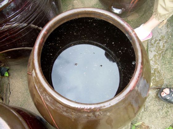 Соєвий соус при грудному вигодовуванні Соєвий соус при грудному вигодовуванні